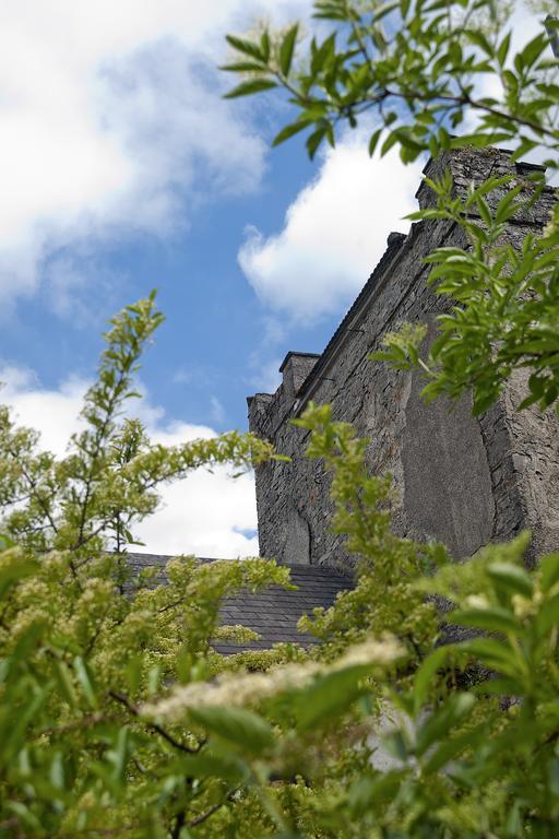 Finnstown Castle Hotel Лукан Екстер'єр фото